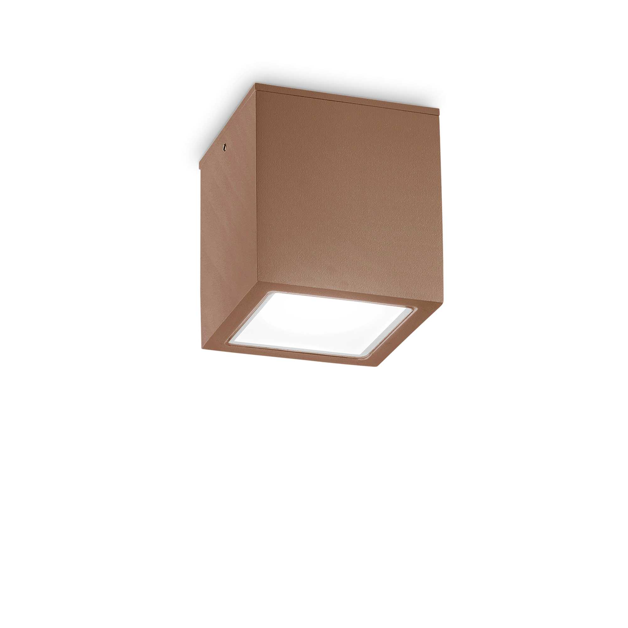 Ideal Lux Stropní přisazené svítidlo TECHO PL1 BIG, IP54 Barva: Kávová