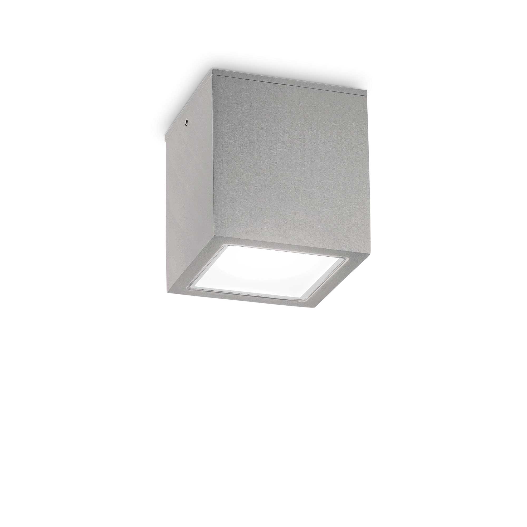 Ideal Lux Stropní přisazené svítidlo TECHO PL1 BIG, IP54 Barva: Šedá