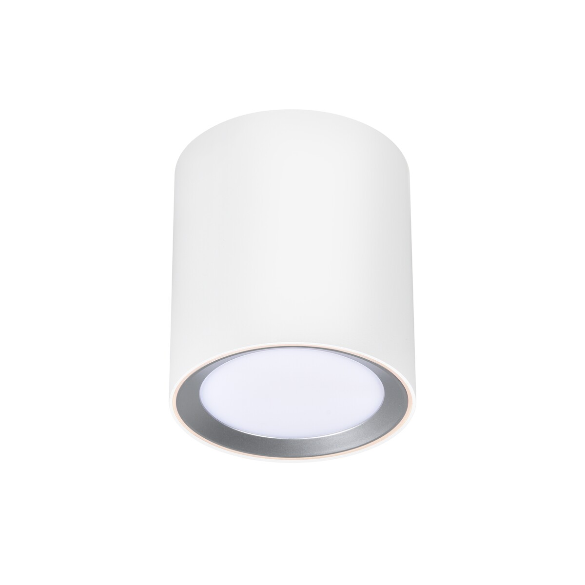 Levně Nordlux Stropní koupelnové svítidlo Landon 14 Smart, IP44 Barva: Bílá