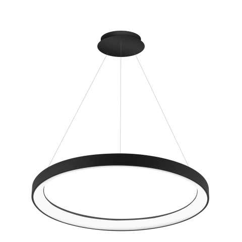 Palnas Závěsné LED svítidlo DITA ø 78 cm, černé Stmívání, řízení: DALI, Dálkový ovladač: Bez dálkového ovladače