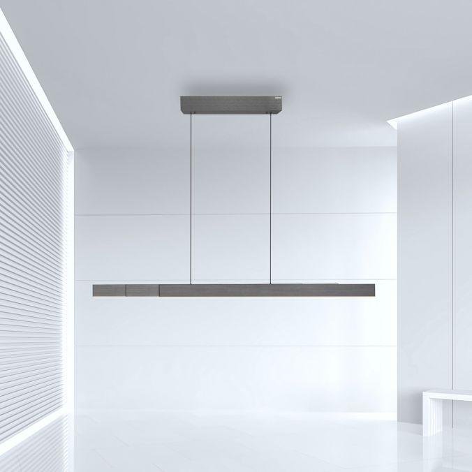 Paul Neuhaus LED závěsné svítidlo PURE-MOTO-RISE elektricky nastavitelná výška dotykový vypínač 2700-5000K platina, d.200cm