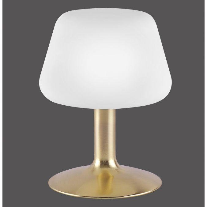 Paul Neuhaus Stolní LED lampa TILL, 3W, v. 20 cm, 3000K stmívatelná, dotykový stmívač Barva: Mosaz