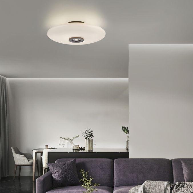 Paul Neuhaus Stropní/nástěnné LED svítidlo PURE Vitrum, 21W, ø 45 cm, 2700 stmívatelné Barva: Hnědá