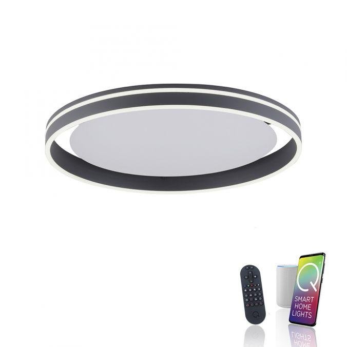 PAULNEUHAUS Q-VITO, LED stropní svítidlo, Smart Home, průměr 59cm ZigBee 2700-5000K - PAUL NEUHAUS