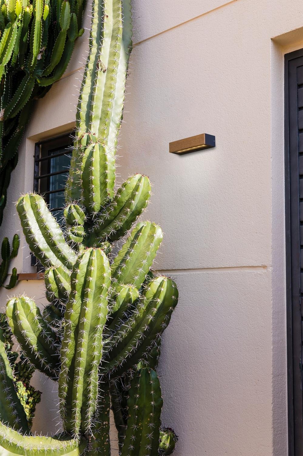 LAKO dřevěná nástěnná lampa - FARO