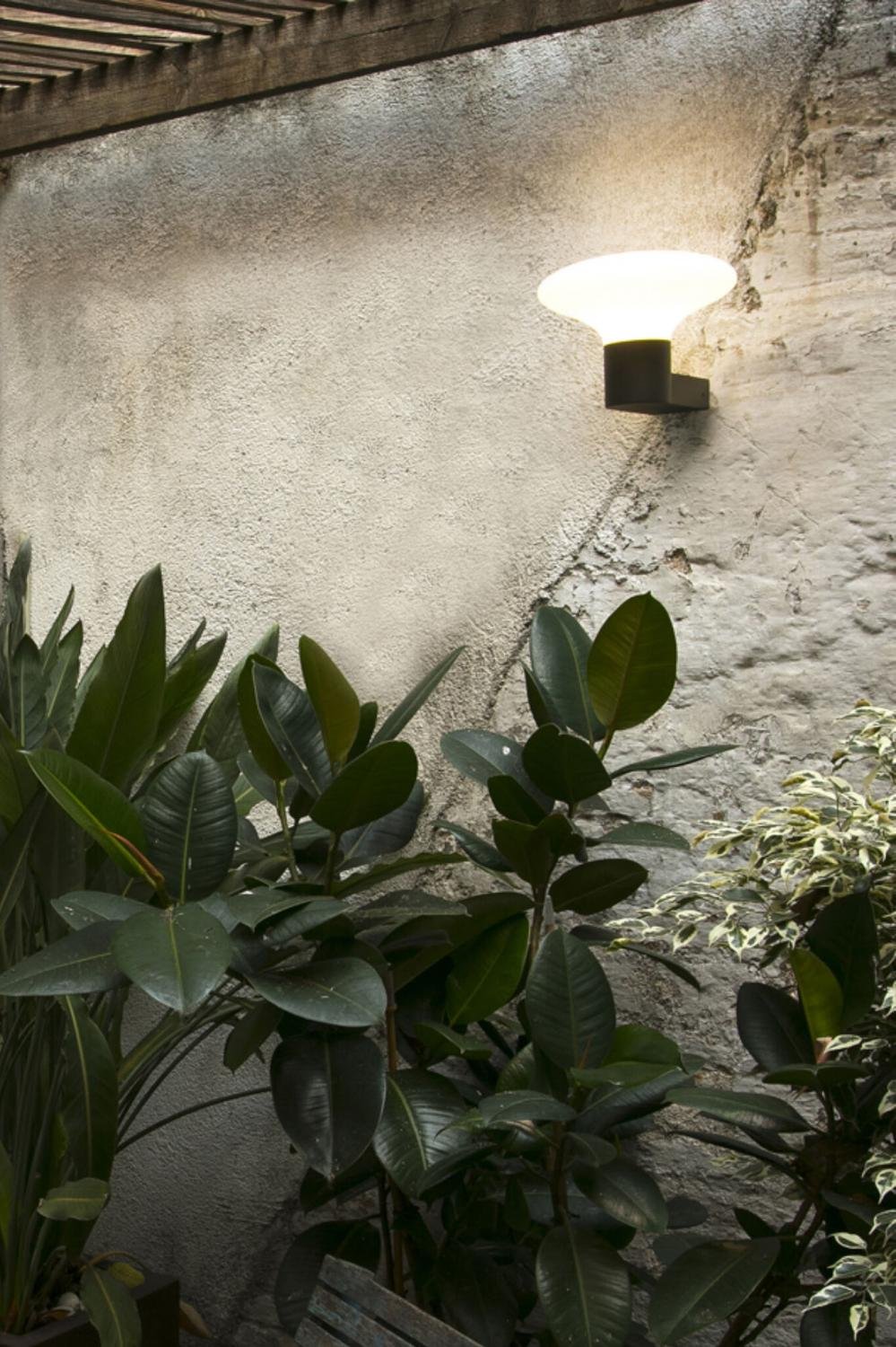 BLUB'S nástěnná lampa, tmavě šedá - FARO