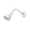 100531 2 image