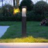 102796 1 image