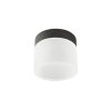 LED stropní svítidlo NAIDA, ø10cm, IP44
