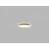 moon 40 g 1a