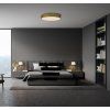 Stropní LED svítidlo ISIA, 67W, ø 80 cm, CRI90, CCT switch 2700-4000K