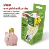 LED žárovka Filament A60 A CLASS / E27 / 7,2 W (100 W) / 1521 lm / neutrální bílá