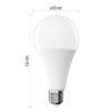 61573 1 led zarovka classic a80 e27 20 w 150 w 2452 lm studena bila
