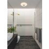 Stropní LED svítidlo Nordlux Djay Smart, IP54