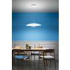 Závěsné LED svítidlo Horizon_P ø65 cm, 29W