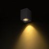 99433 2 image