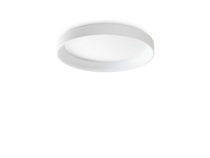 317908 WEB001 ZIGGY PL D080 BIANCO