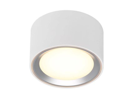 Stropní svítidlo Fallon - 60mm (Barva nerez, Velikost 60)