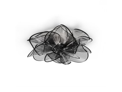 la belle black ceiling