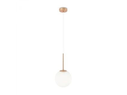 55001 zavesne svitidlo basic 1xe14 20 cm