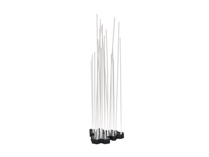 reeds outdoor