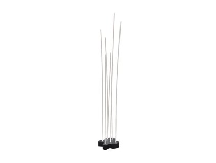 reeds outdoor