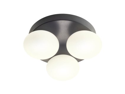 Černá Nástěnné,stropní LED svítidlo OVUM, 15W, ø 24 cm, CCT 3000 4000K, IP44