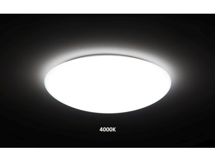 2Whole Light 4