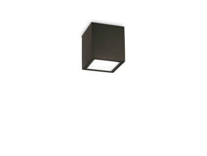 251578 WEB001 TECHO PL1 SMALL NERO