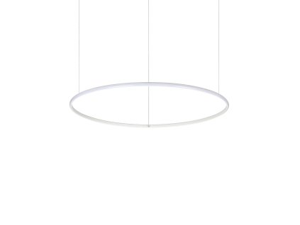 258768 WEB001 HULAHOOP SP D080