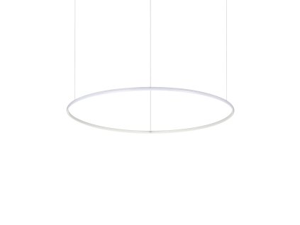 258751 WEB001 HULAHOOP SP D100