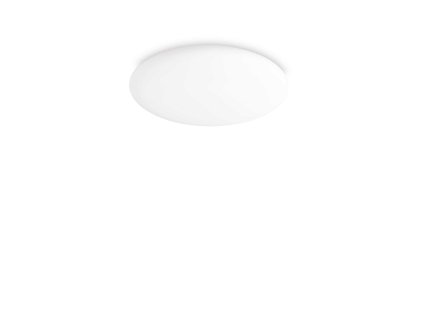 261164 WEB001 LEVEL PL D40