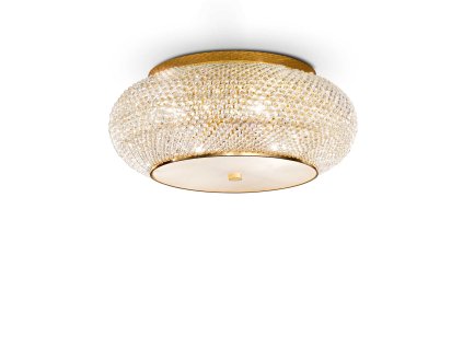 100791 WEB001 PASHA PL10 ORO