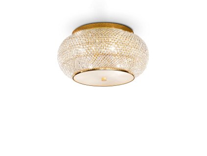 100807 WEB001 PASHA PL6 ORO
