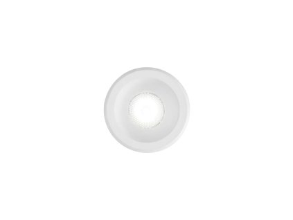 244808 WEB001 VIRUS WH WH