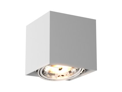 Bodové svítidlo BOX SL 1, 42W