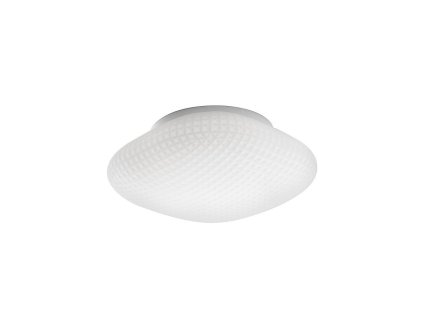 Stropní svítidlo SENS, 25cm, E27 1x12W