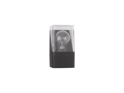 Venkovní nástěnné svítidlo SELENA antracitový hliník a čirý akryl E27 1x12W IP65