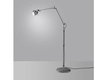 tolomeo terracccccc