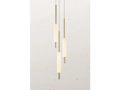 Typha 285.02.ON