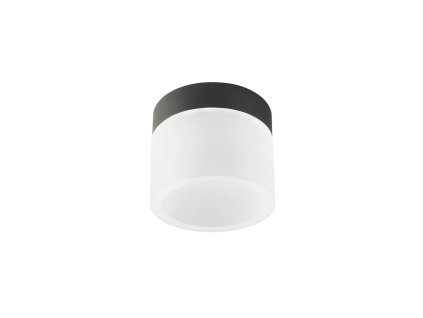 LED stropné svietidlo NAIDA, ø10cm, IP44