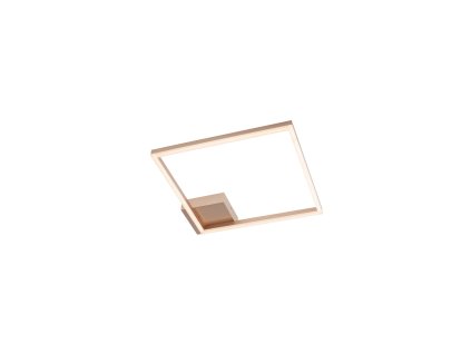 Nástenné/Stropné LED svietidlo Klee, š.45cm (Farba Biela)