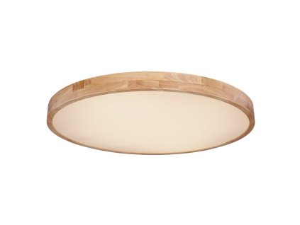 rainer 41745 60 g25029