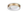 370606 WEB001 PLANET PL D30 OTTONE