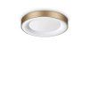 351773 WEB001 PLANET PL D40 OTTONE