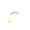 Stropné LED svietidlo RINGO 35 cm UP/DOWN (Farba Biela, stmievanie ON/OFF (bez stmívání))