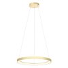 Závěsné LED svítidlo Iconic, ø58cm (Barva zlatá)