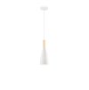 Závesné svietidlo GRANT, E14 1x5W (Farba Biela)