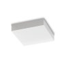 326245 WEB001 SNOW PL 4000K (kopie)