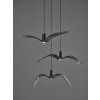 Brokis NIGHT BIRDS EXTERIOR PC1111 PC1112 PC1113 PH2362 © Martin Chum